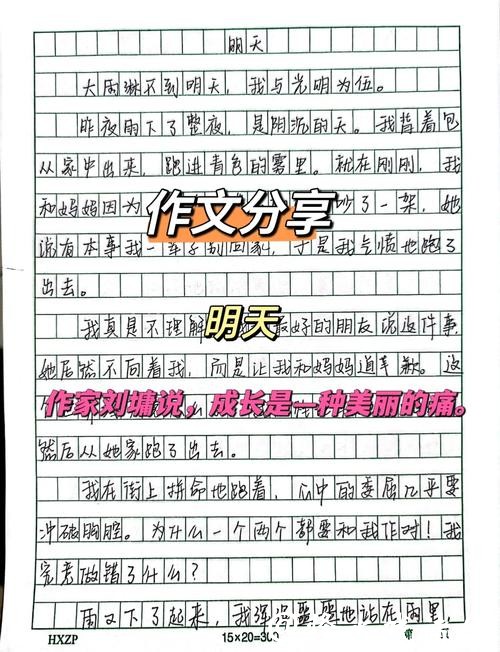 世界杯投注心得：从小白到高手的成长历程