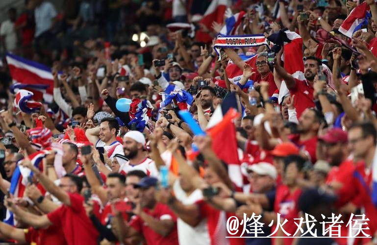2026世界杯比分网站使用指南，结果查看和比赛结果参考